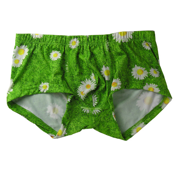 ロムアンヴィジブル：Mini　Boxer（スプリングフラワー）